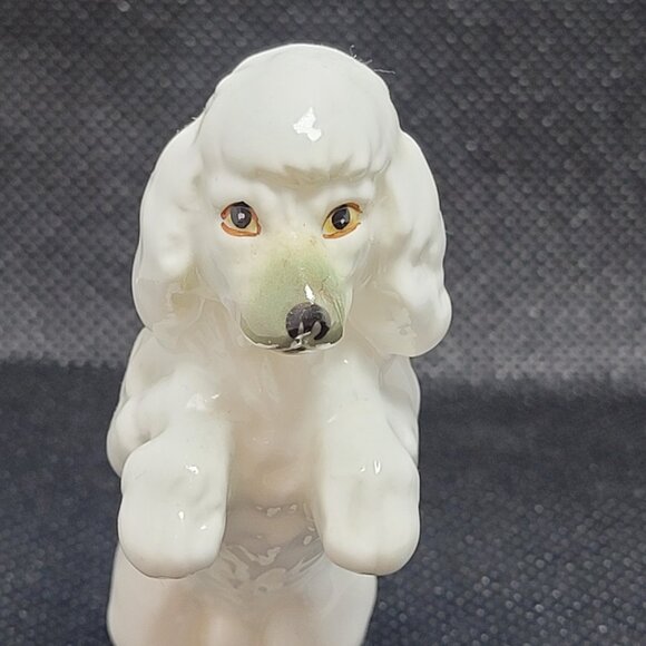 Vintage White Poodle Sitting Begging Bone China Figurine Gift Craft Canada - Picture 5 of 8